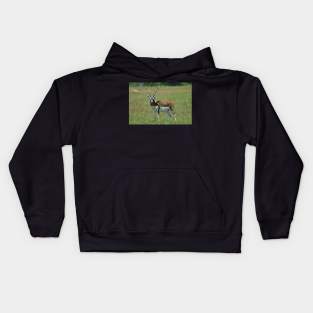 Blackbuck Kids Hoodie